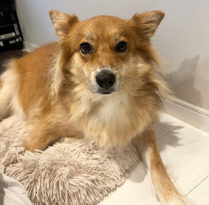 ��²�ˤʤä�2000���ܤ�ޤ������Υ�Ƥ����