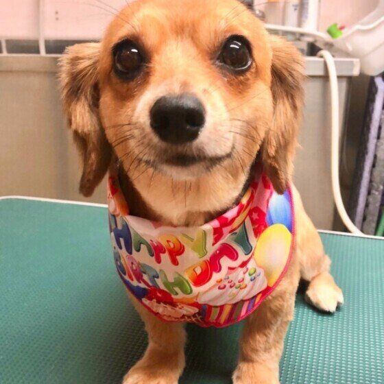 ミックス