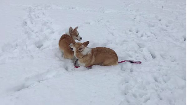 雪あそび