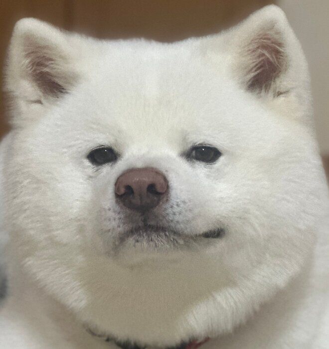 立派に成長した海くん