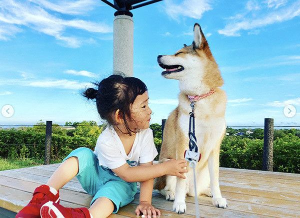 犬と子ども