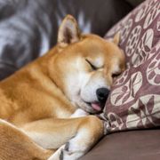 Ltat6qhfvd8am Ltat6qhfvd8am