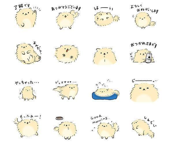 ぽぽち2