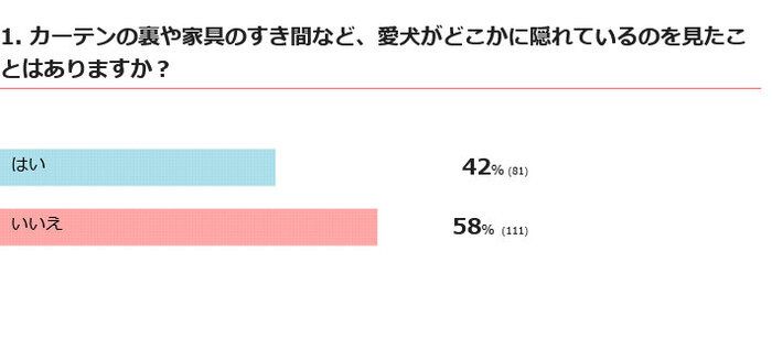 愛犬がどこかに隠れることはある？