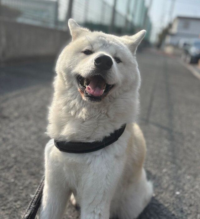 楽しそうな凛太郎くん