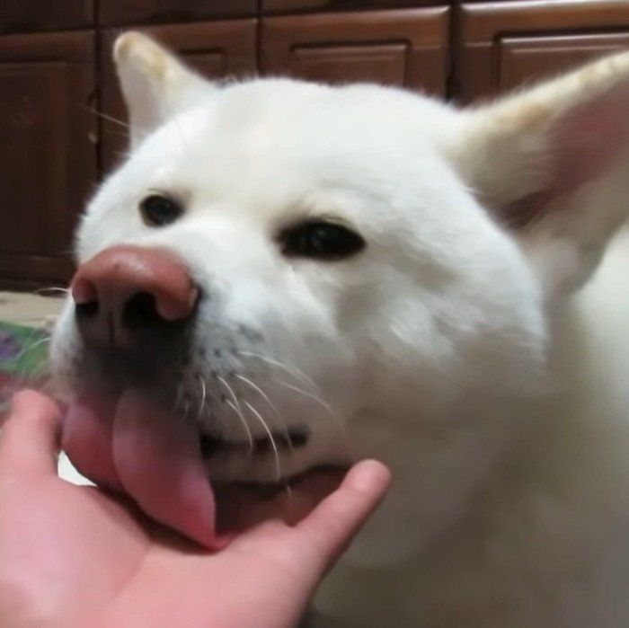 「ペ」で止まるゆうきくん