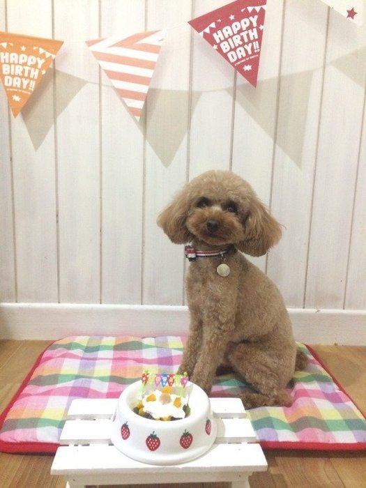 あずきちゃん