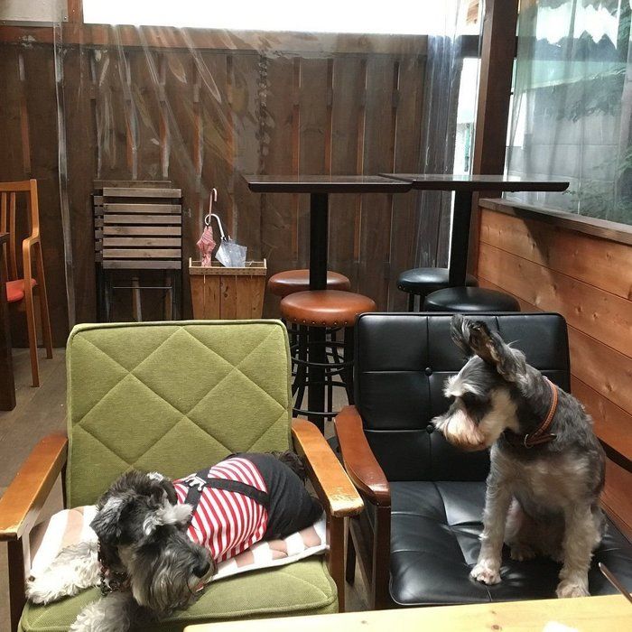 CafeVGの店内