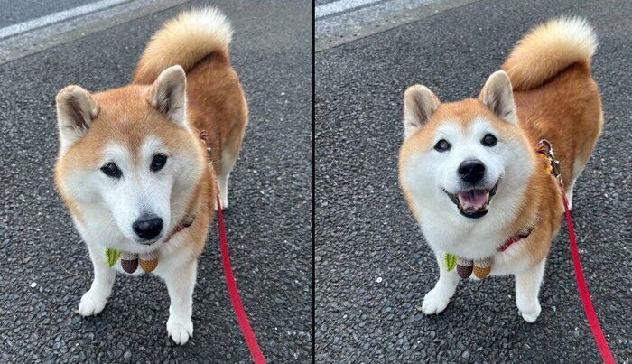 表情豊かなまるちゃん