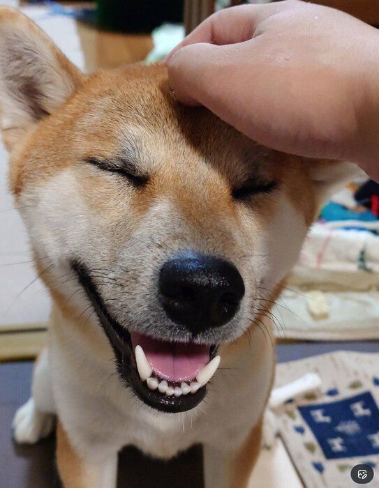 立派に成長した竜太くん