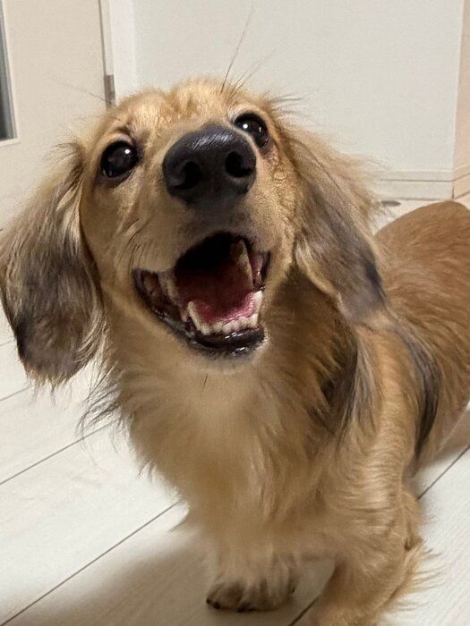 ��Τ�����ˤǤ��������Υ��å����ե��