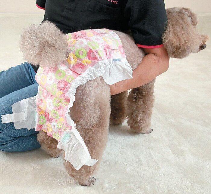 首をしめないように注意しつつ、ひじ全体で愛犬の体を固定して