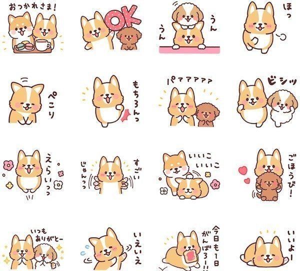 「まるまるコーギー6 仲間たち!」