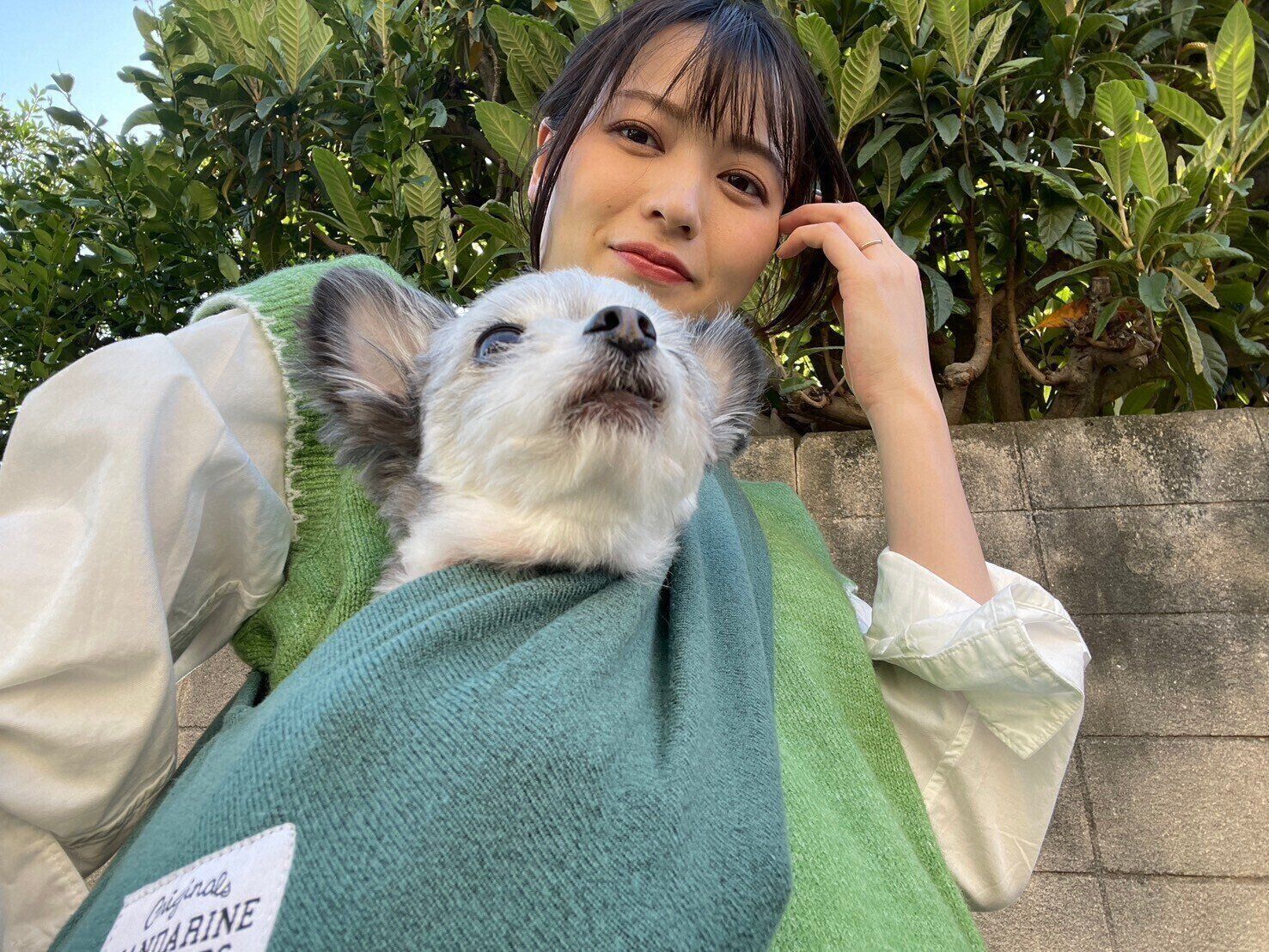 ワンちゃんを抱っこしながら散歩中の矢島さん。