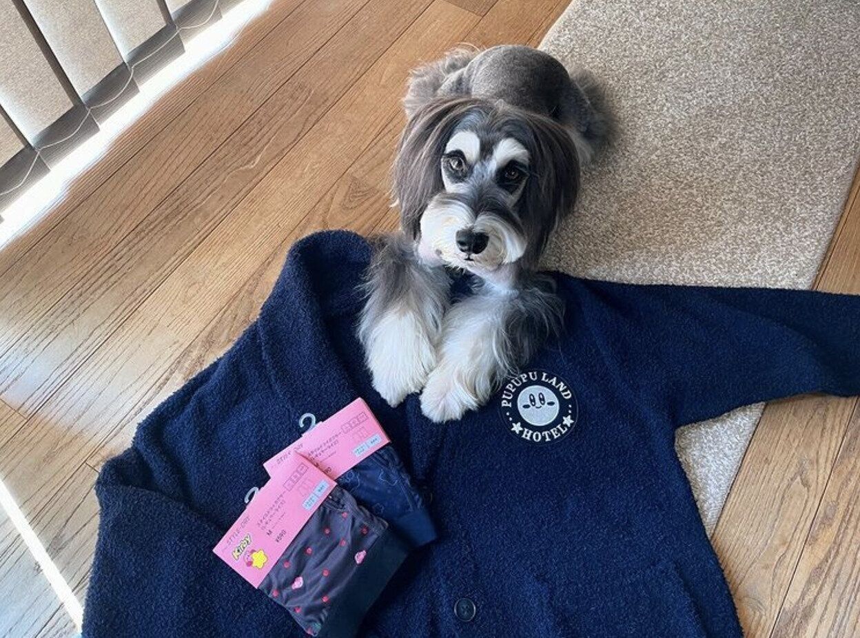 出典：Instagramアカウント「wazz0219」