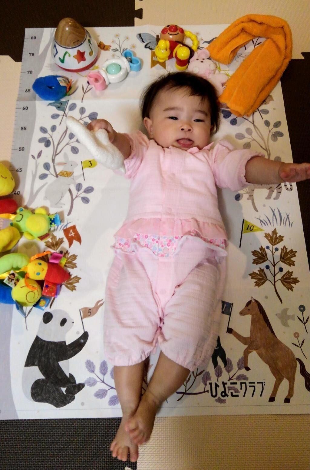 【エントリーNo.24】昨日無事に7ヶ月を迎えることができました　Photo by ご縁さん