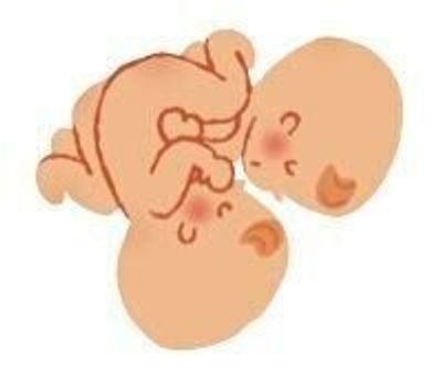 Tbvjdx1fb6vnnm Tbvjdx1fb6vnnm