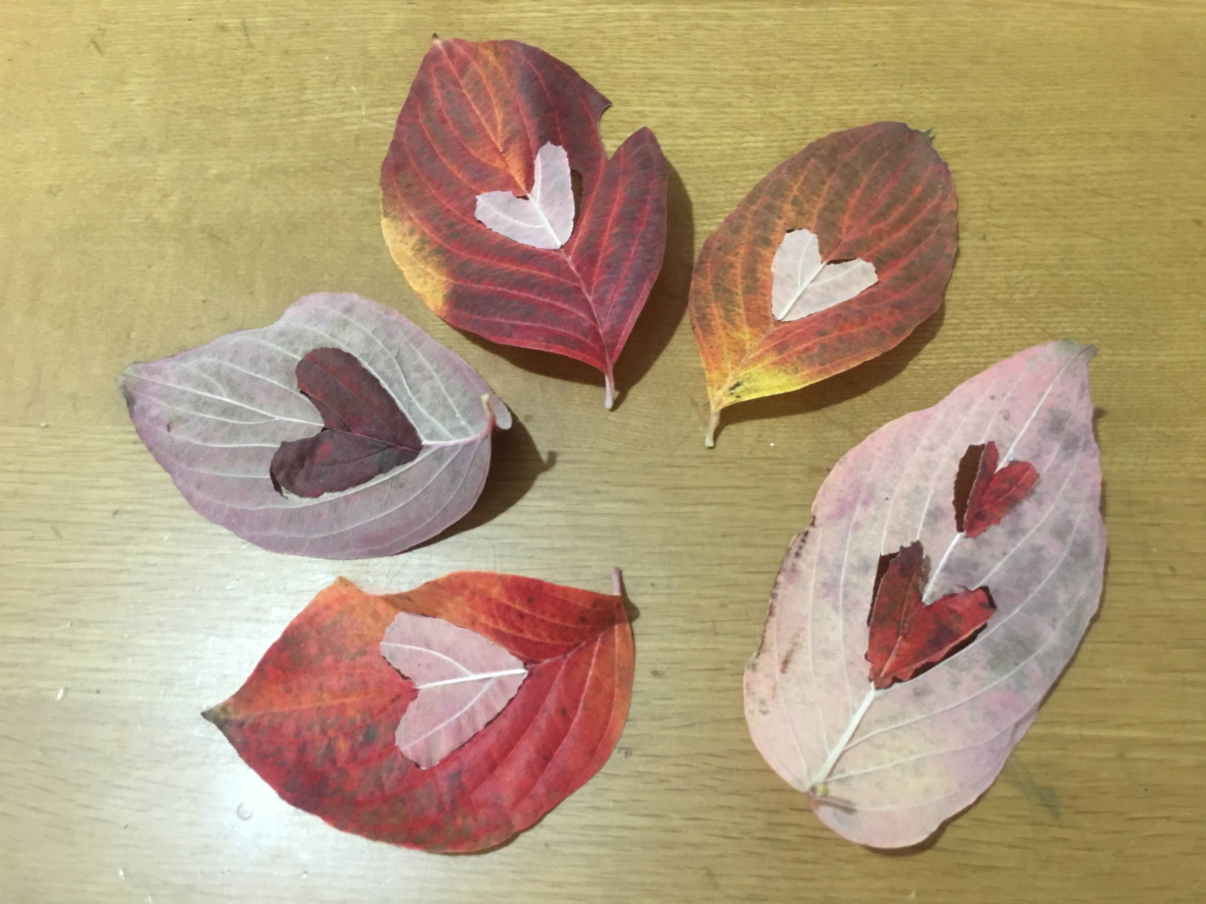 落ち葉でラブレター Twitterで人気の草花遊び たまひよ