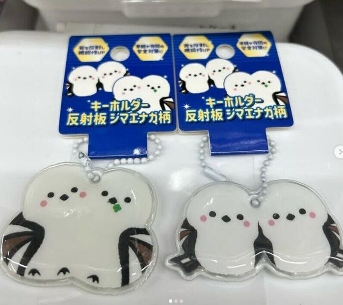 出典:Instagramアカウント「miyuenaga」