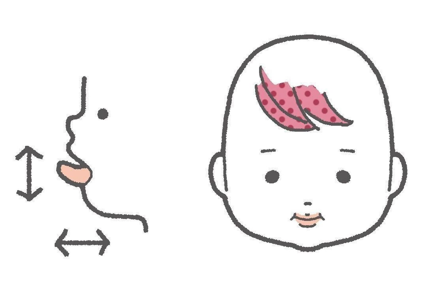 離乳食 最新の進め方は 赤ちゃんの舌 口 歯など口腔機能の発達が重要 たまひよ 離乳食 最新の進め方は 赤ちゃんの舌 口 歯など口腔機能の発達が重要 たまひよ