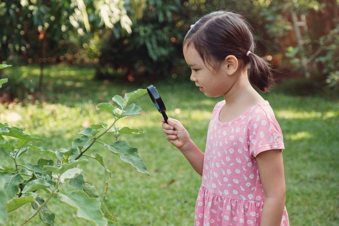 虫眼鏡、モンテッソーリホームスクール教育を通して葉を見ている若い小さなアジアの女の子