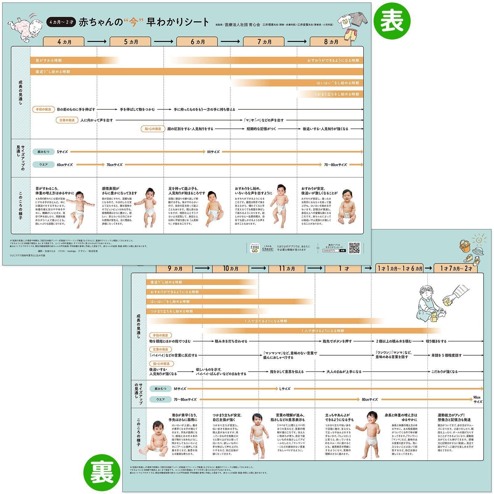 【とじ込み付録】4～8カ月・9～11カ月・1才代 赤ちゃんの“今”早わかりシート