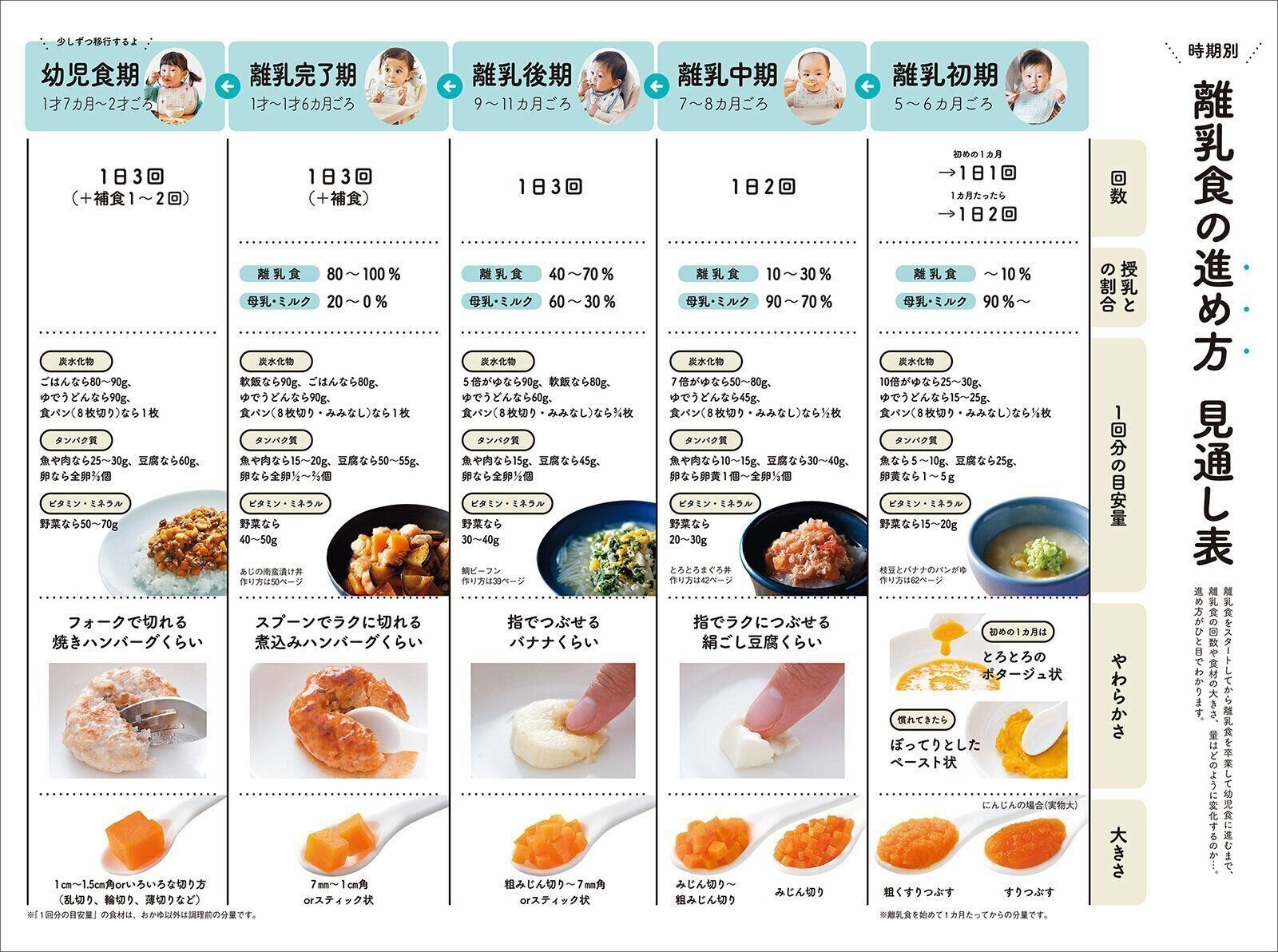 【とじ込みシート】時期別 離乳食の進め方 見通し表