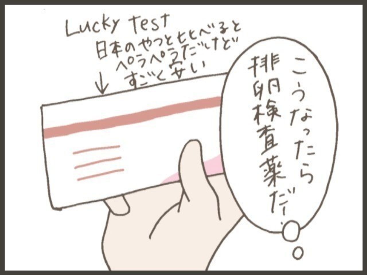 妊活 6 排卵検査薬を使って気付いたこと Byてとまま たまひよの妊活 妊活 6 排卵検査薬を使って気付いたこと Byてとまま たまひよの妊活