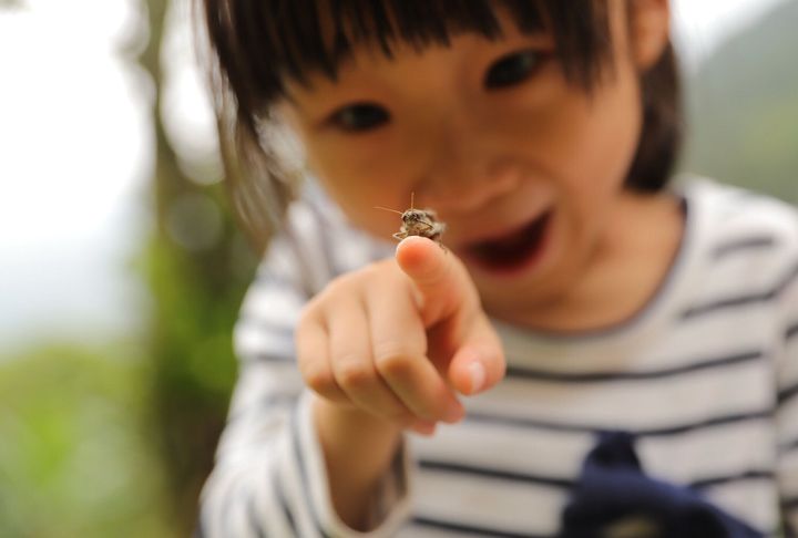 学業が優秀な子ほど好奇心旺盛 2歳からの熱中体験が子どもの脳を育てる 専門家 たまひよ 学業が優秀な子ほど好奇心旺盛 2歳からの熱中体験が子どもの脳を育てる 専門家 たまひよ