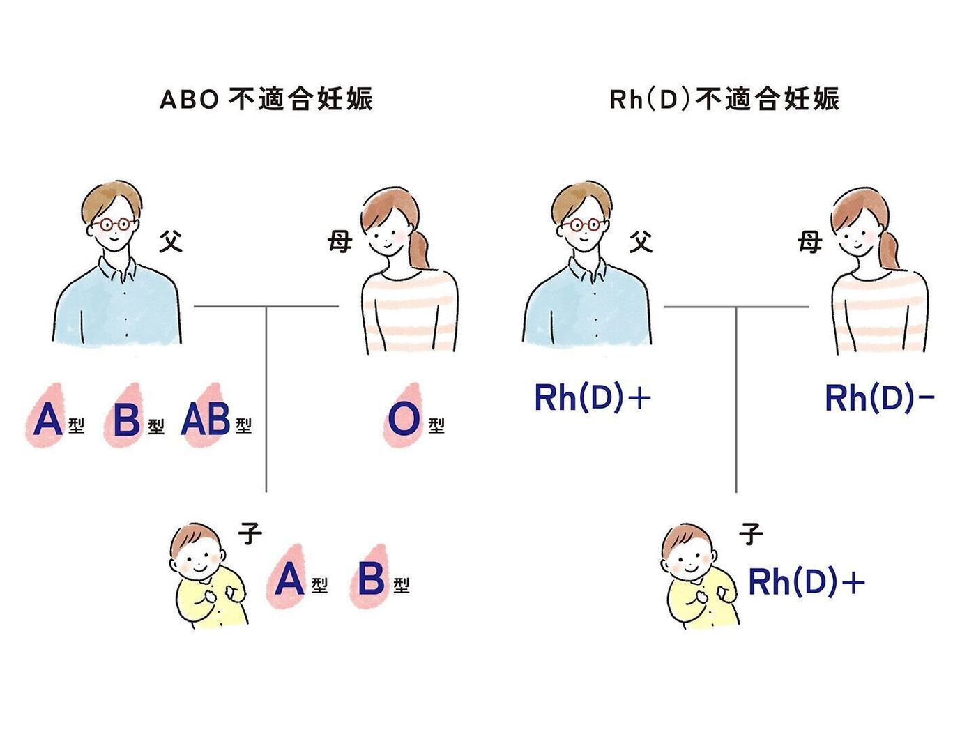 rh マイナス 特徴