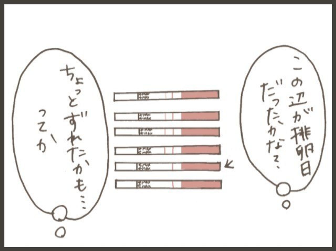妊活 6 排卵検査薬を使って気付いたこと Byてとまま たまひよの妊活 妊活 6 排卵検査薬を使って気付いたこと Byてとまま たまひよの妊活