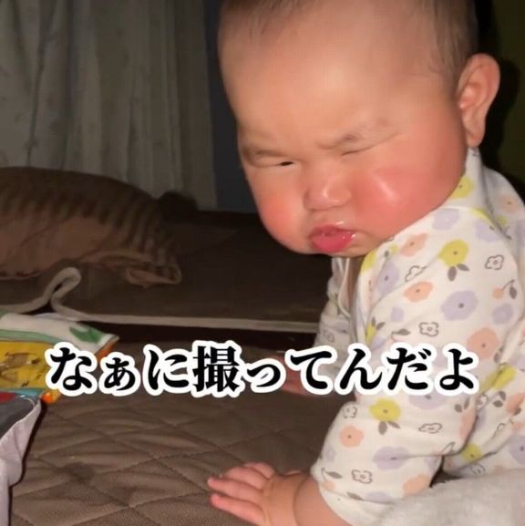 出典:Instagramアカウント「toco_jizochan」