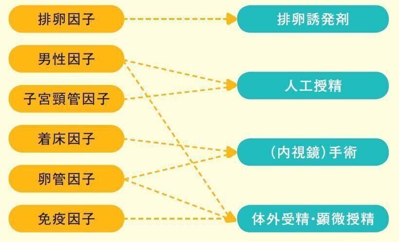 不妊の原因になるさまざまな因子（排卵因子・男性因子・子宮頚管因子・着床因子・卵管因子・免疫因子）により、排卵誘発剤、人工授精、（内視鏡）手術、体外受精・顕微授精へと進みます。