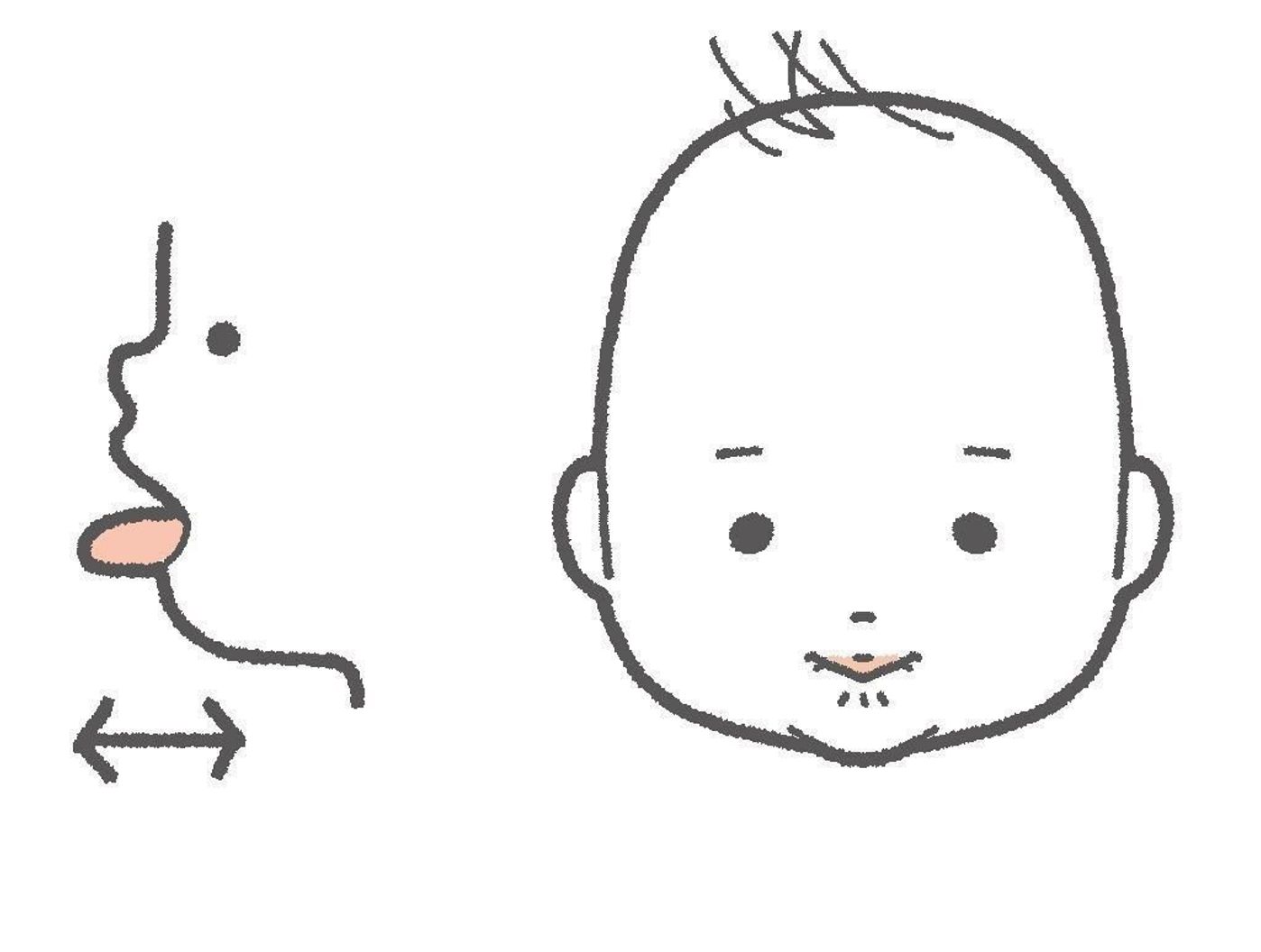 離乳食 最新の進め方は 赤ちゃんの舌 口 歯など口腔機能の発達が重要 たまひよ 離乳食 最新の進め方は 赤ちゃんの舌 口 歯など口腔機能の発達が重要 たまひよ