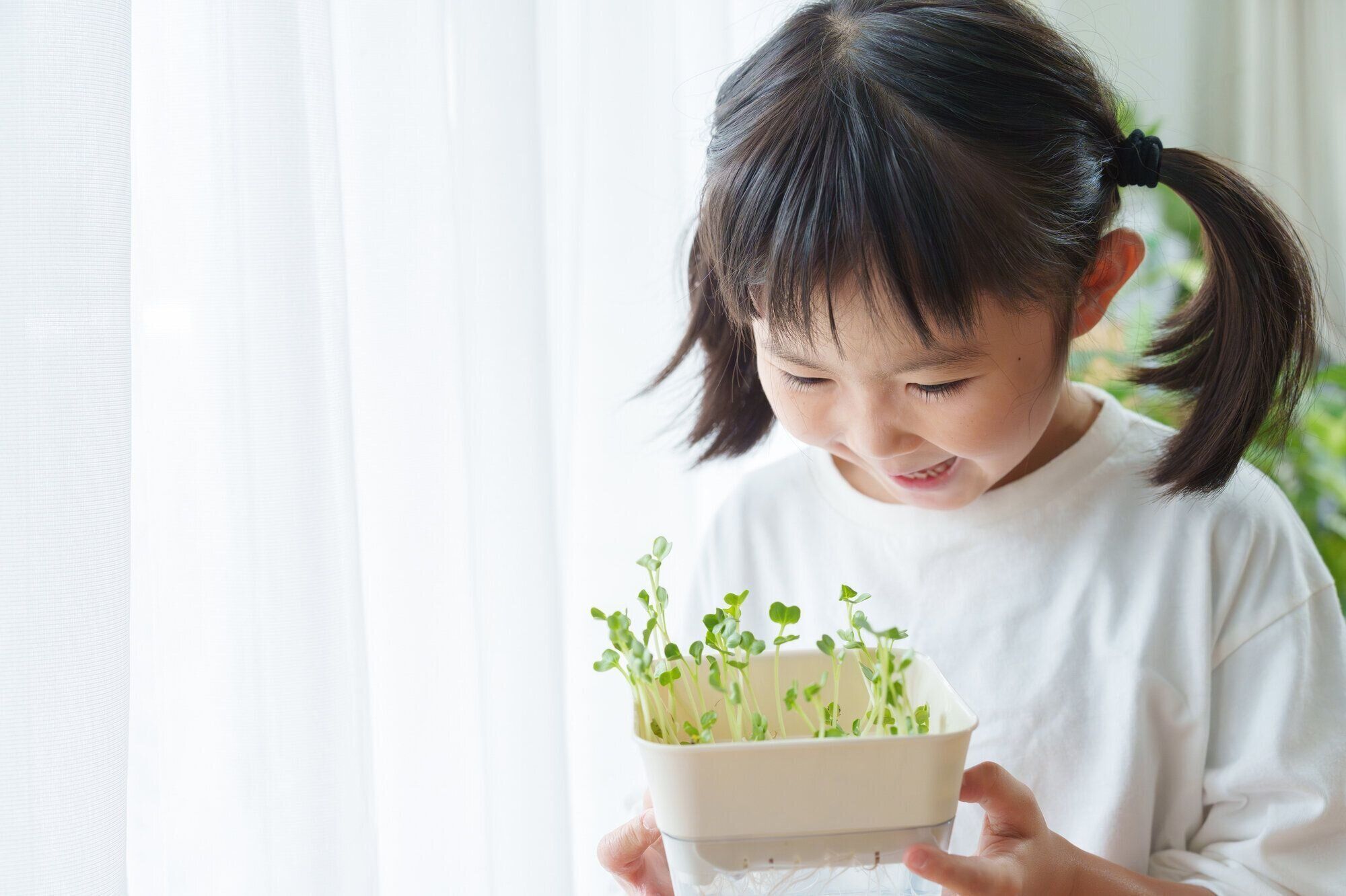 野菜値上がり時の救世主！「お助け野菜レシピ」