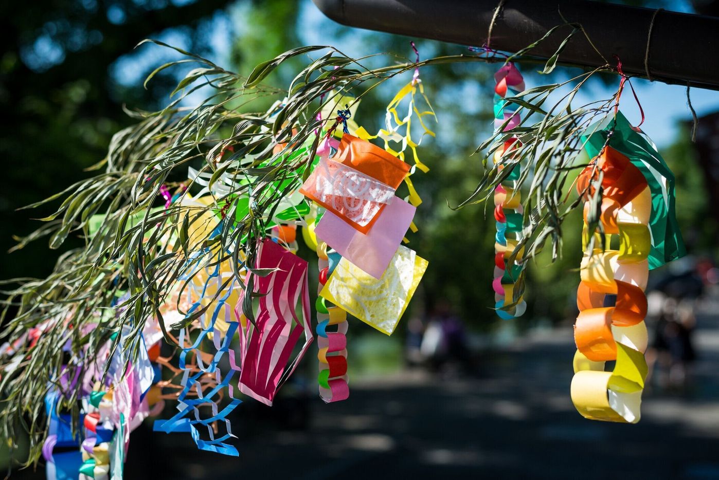 七夕飾りは 前夜に飾る のが基本ってホント 専門家に聞いてみた たまひよ 七夕飾りは 前夜に飾る のが基本ってホント 専門家に聞いてみた たまひよ