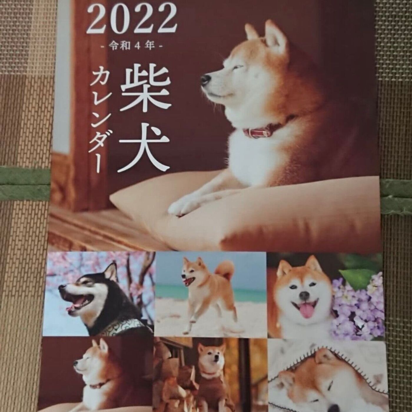 ダイソー22年カレンダー4選 定番からアイデア品まで たまひよ ダイソー22年カレンダー4選 定番からアイデア品まで たまひよ