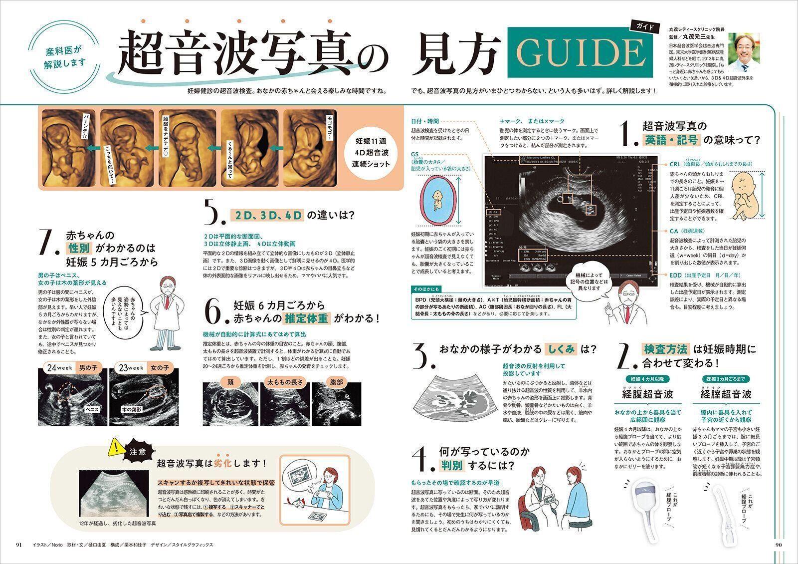 【特集】超音波写真の見方ガイド