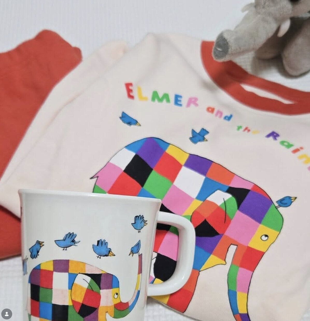 出典：Instagramアカウント「ramiramichan」