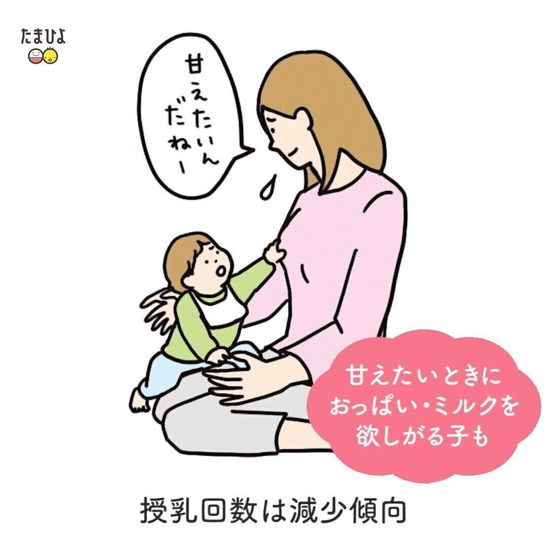 9ヶ月ごろから離乳食が1日3回になり授乳回数は減少傾向に！