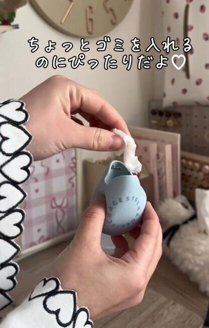 出典：Instagramアカウント「risaroom28」