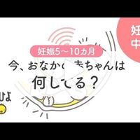 動画 貧血予防 改善に 上手に鉄分をとる方法 たまひよ 動画 貧血予防 改善に 上手に鉄分をとる方法 たまひよ