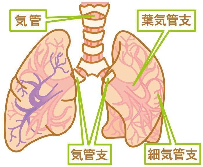 小児細気管支炎の合併症の可能性