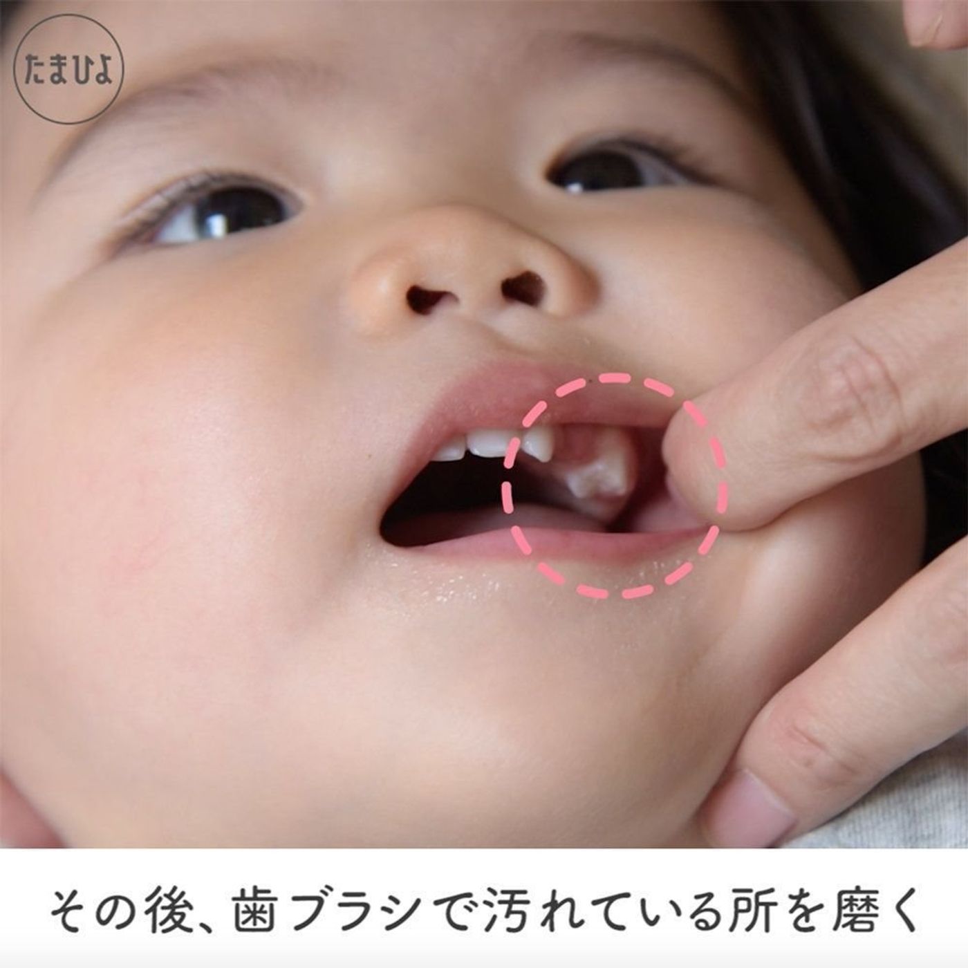 動画 赤ちゃん時代の歯磨きの新常識 目で磨く歯磨き たまひよ 動画 赤ちゃん時代の歯磨きの新常識 目で磨く歯磨き たまひよ