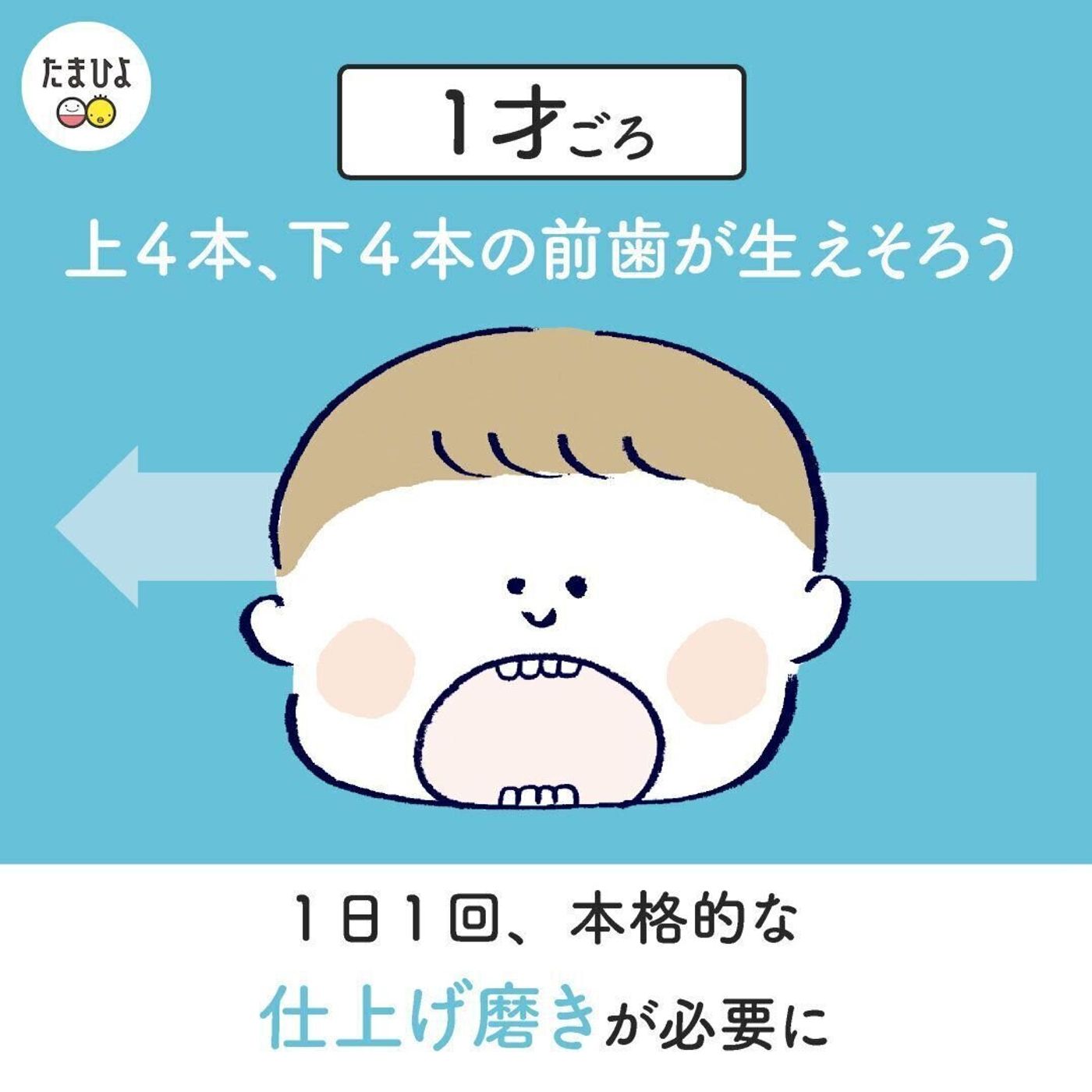 動画 0歳代からのケアが大事 わが子をむし歯にさせないために知っておきたいこと たまひよ 動画 0歳代からのケアが大事 わが子をむし歯にさせないために知っておきたいこと たまひよ