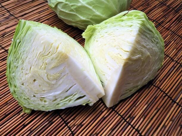 キャベツ5