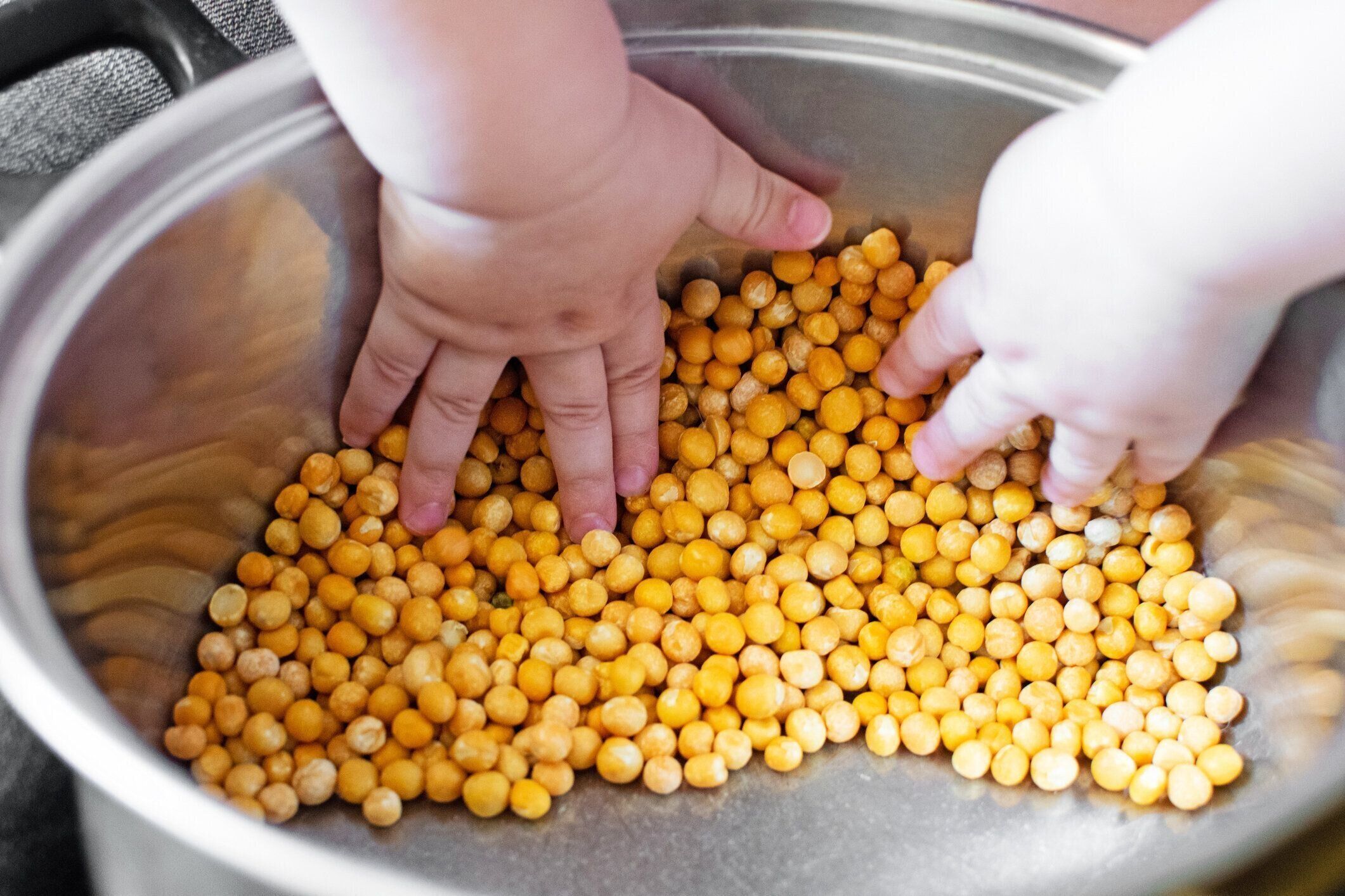幼い子供の手が拾い上げ、エンドウ豆で遊ぶ。
