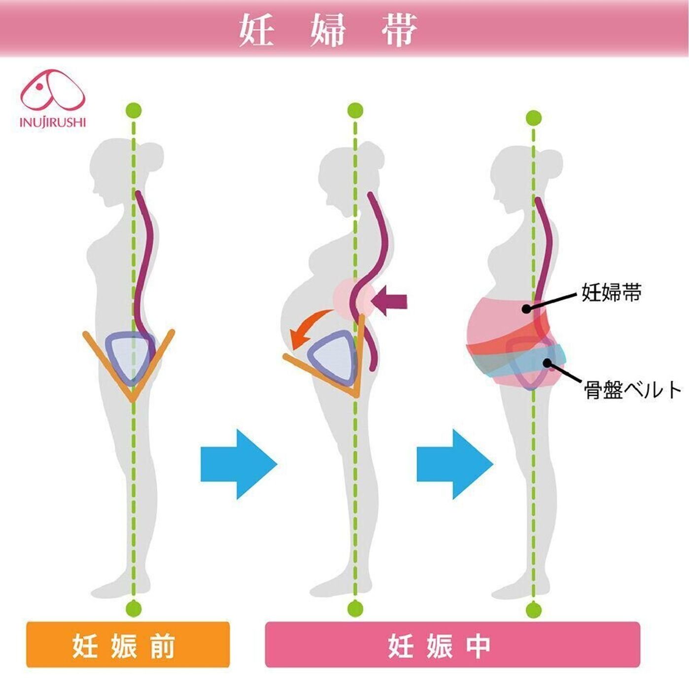 活動歴および当時の関連ビジュアル記録