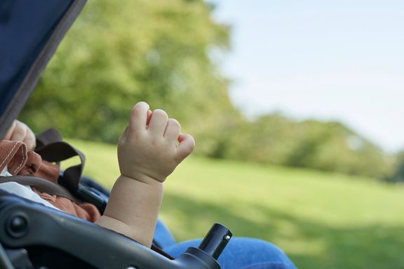 ベビーカーでかわいい日本の赤ちゃん