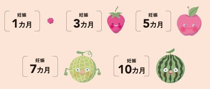 妊娠するには3つのステップが重要 妊娠 の基礎を専門医に聞く たまひよの妊活